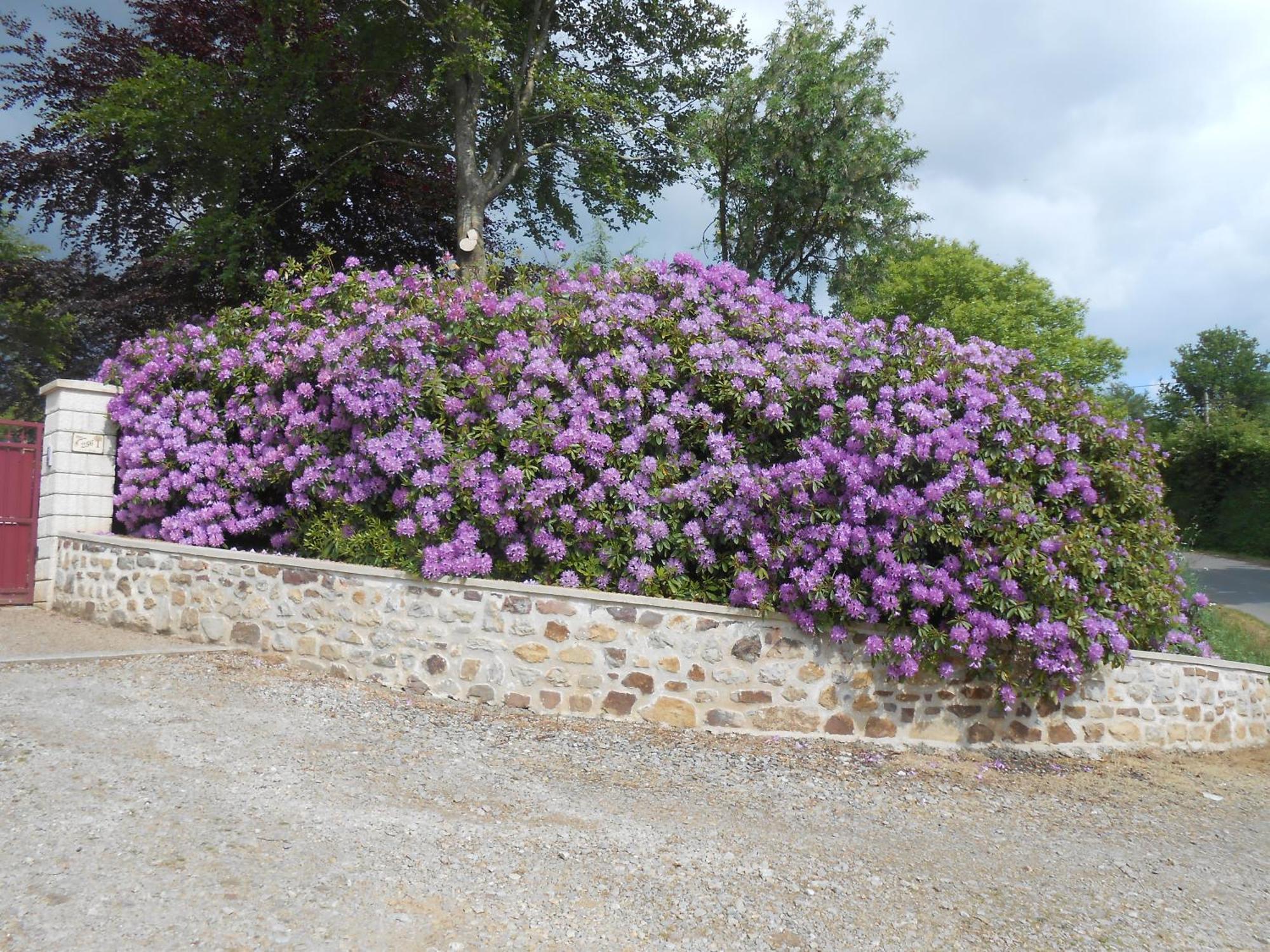 Maison Brix ภายนอก รูปภาพ
